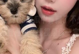 155吃瓜中真藏了不少资源，尤其是那些网爆在线视频你一定要看！