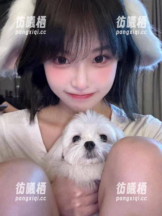 51bl 51bl5网页:单身狗的聚集地,你的情感温度从此归零!