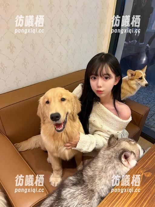 911黑料 911黑料:直达你意想不到的八卦!