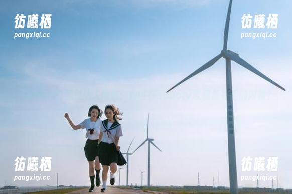 soootv 黑料达人教你:如何在soootv收藏最有趣的内幕?