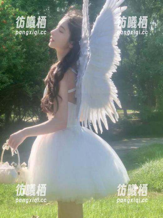 www.51 更新了?我看这www.51cg2.fun就是让人派发吃瓜的好奇心啊!