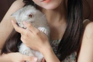 朝阳的晨跑团来了新成员，吃瓜网苹果版上线，有几分帅气惹人心？