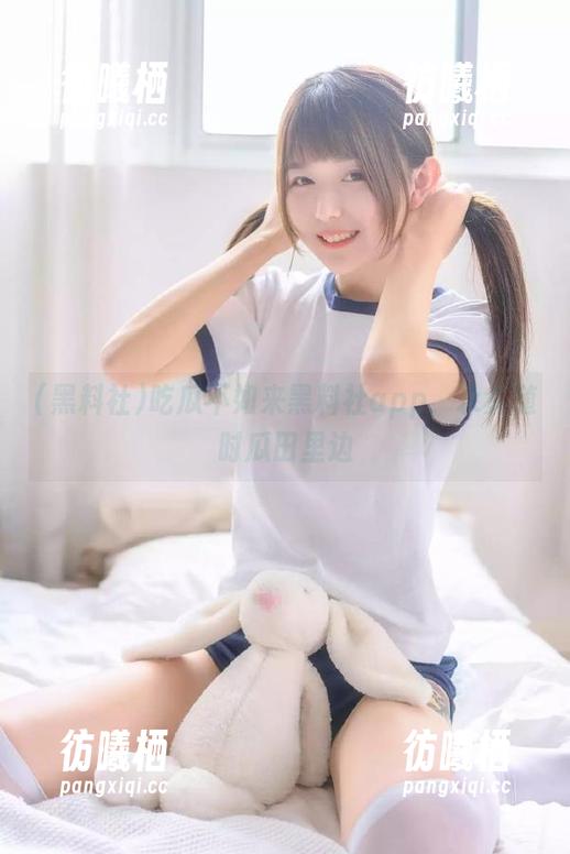 黑料社 吃瓜不如来黑料社app,永久随时瓜田里边